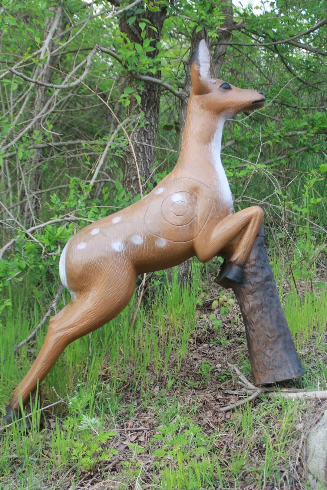 ITALESPANSO Damhirsch / Reh 3D Target für Bogenschießen