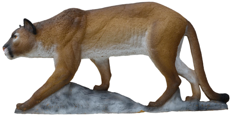 Berglöwe / Puma