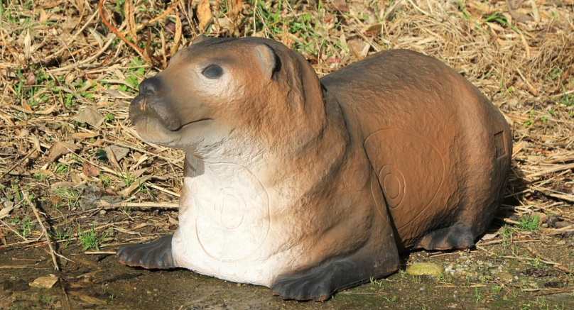 Otter