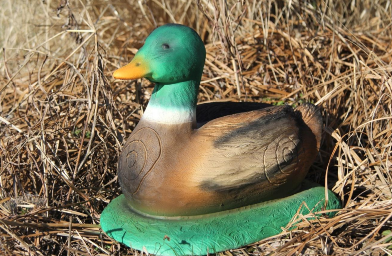 Ente / Stockente
