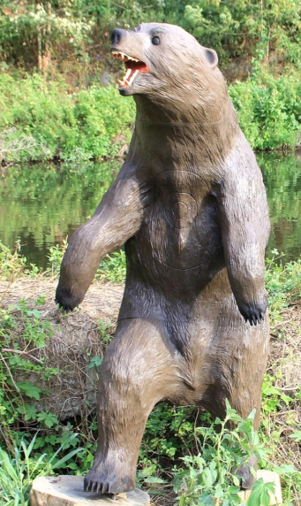 Braunbär
