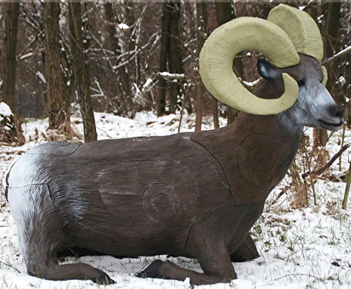 Dickhornschaf / Mufflon