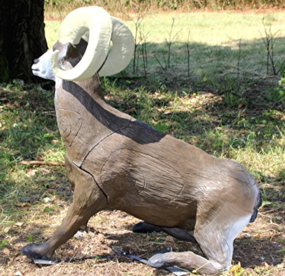 Dickhornschaf / Mufflon