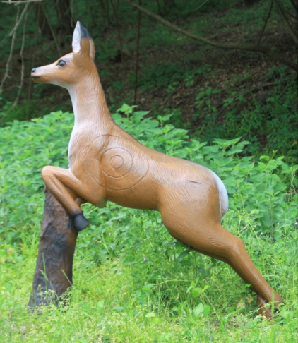 Hirsch / Reh