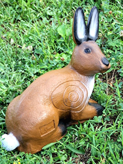 Hase
