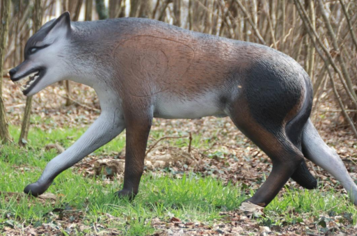 Wolf