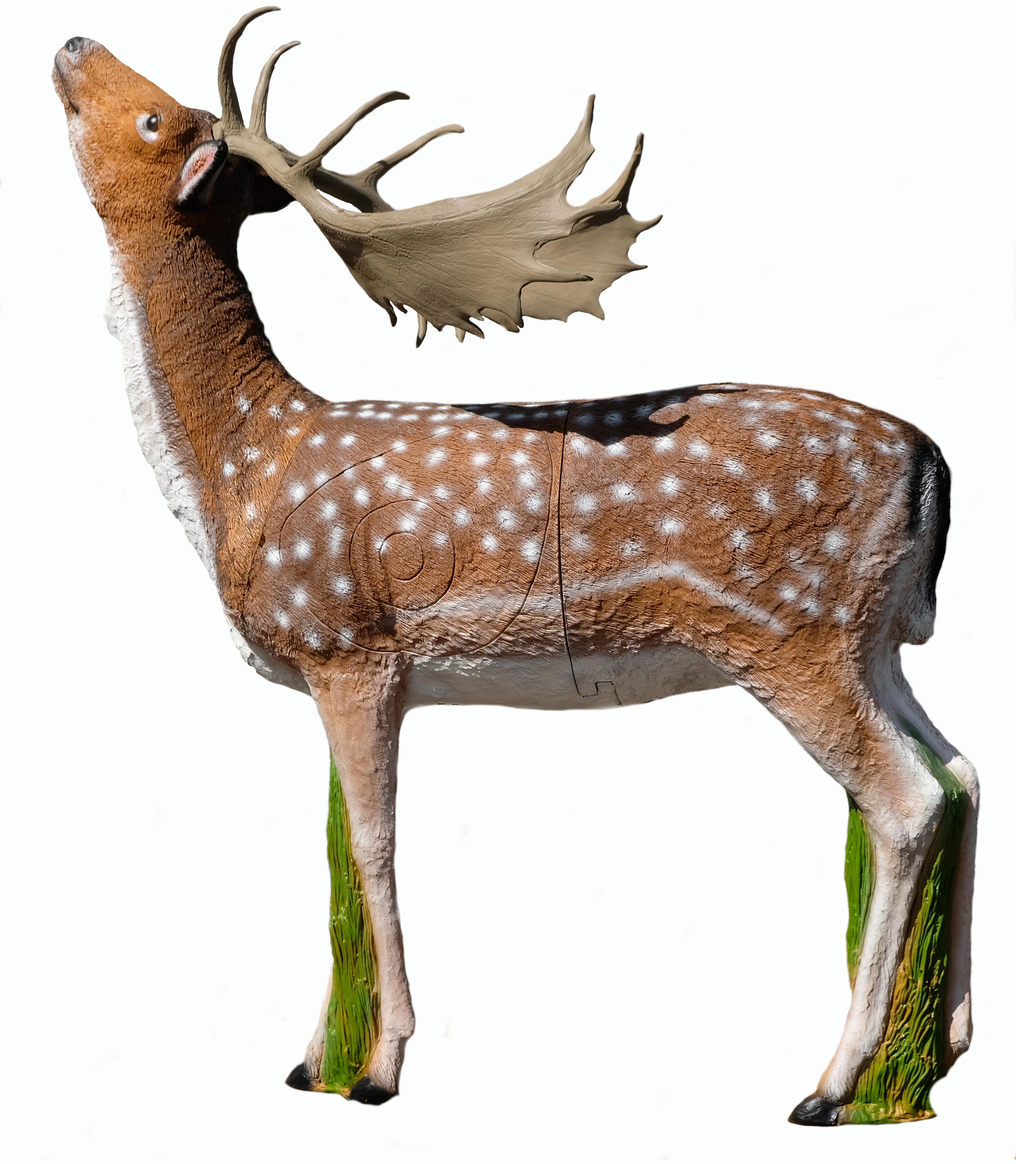SRT Targets Damhirsch 3D Target für Bogenschießen
