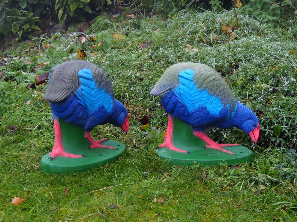NATURFOAM Süd-Takahe 3D Target für Bogenschießen