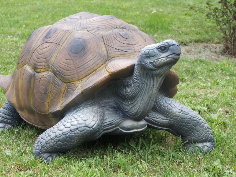 NATURFOAM RIESEN-LANDSCHILDKRÖTE 3D Target für Bogenschießen