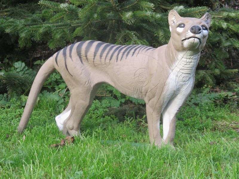 NATURFOAM Beutelwolf 3D Target für Bogenschießen