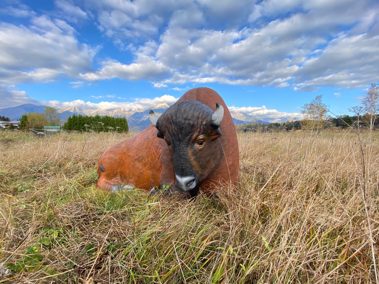 Schosi 3D Ziele Bison liegend 3D Target für Bogenschießen