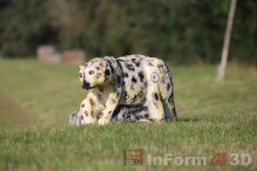 InForm 3D Schneeleopard 3D Target für Bogenschießen