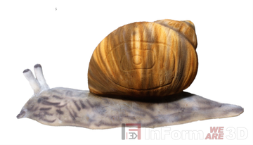 InForm 3D Schnecke 3D Target für Bogenschießen