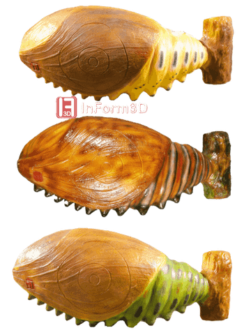 InForm 3D Kokon / Raupe 3D Target für Bogenschießen