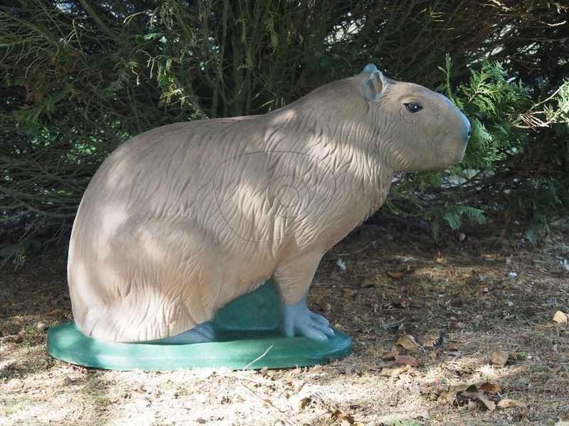NATURFOAM Capibara 3D Target für Bogenschießen