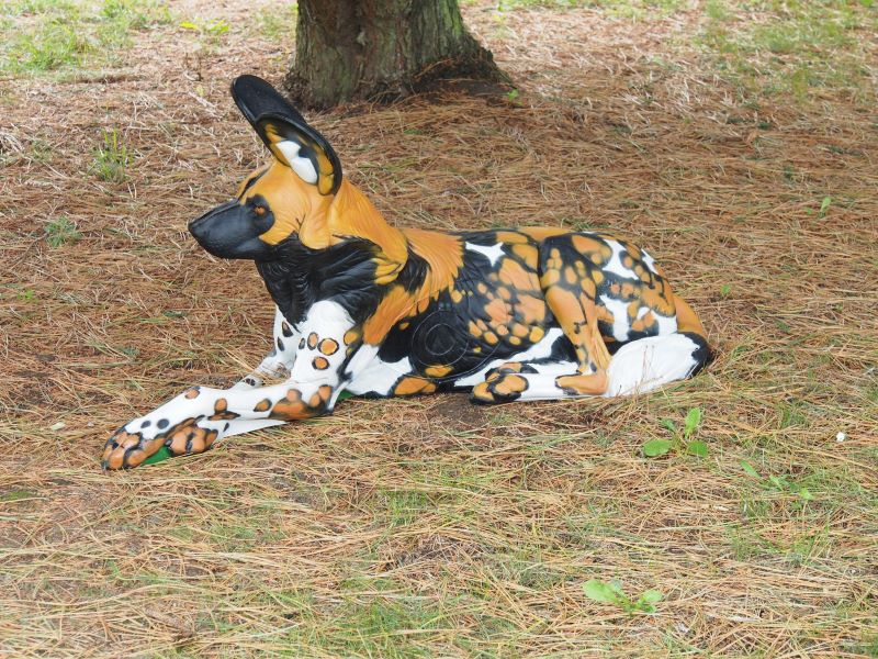 NATURFOAM Lycaon / Wildhund / Hyänenhund 3D Target für Bogenschießen