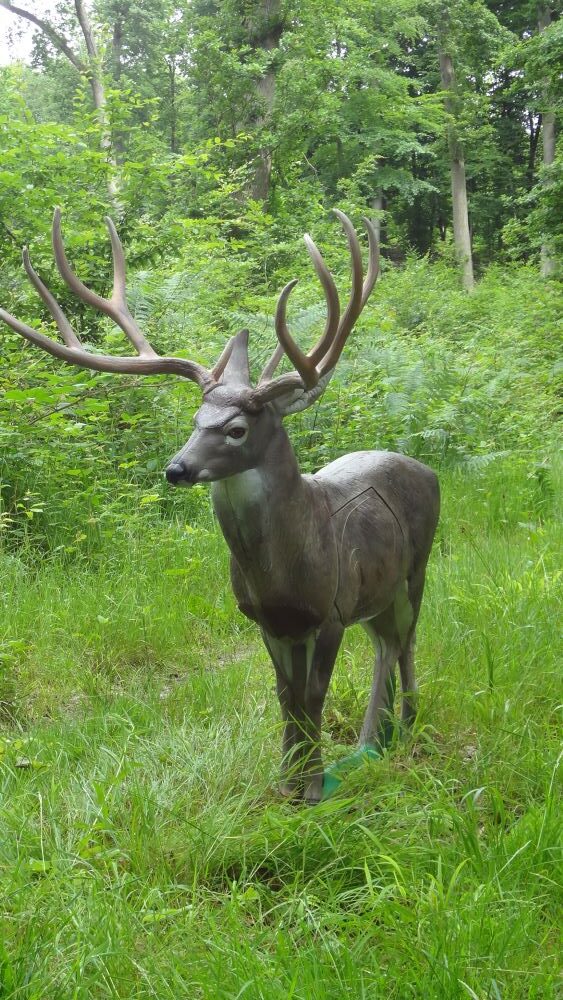 NATURFOAM Hirsch 3D Target für Bogenschießen