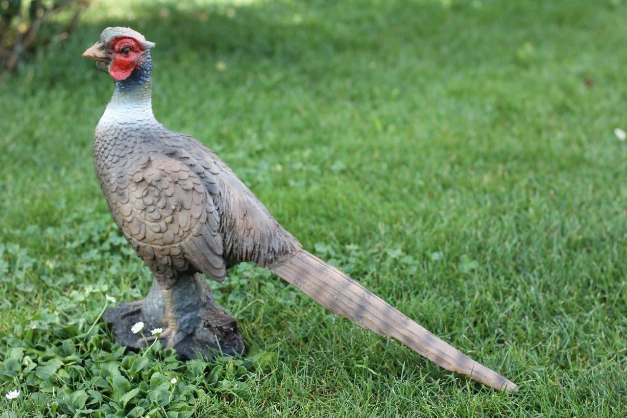 FRANZBOGEN Fasan 3D Target für Bogenschießen