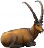 SRT Targets Steinbock 3D Target für Bogenschießen