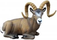 SRT Targets Rocky Mountain Sheep 3D Target für Bogenschießen