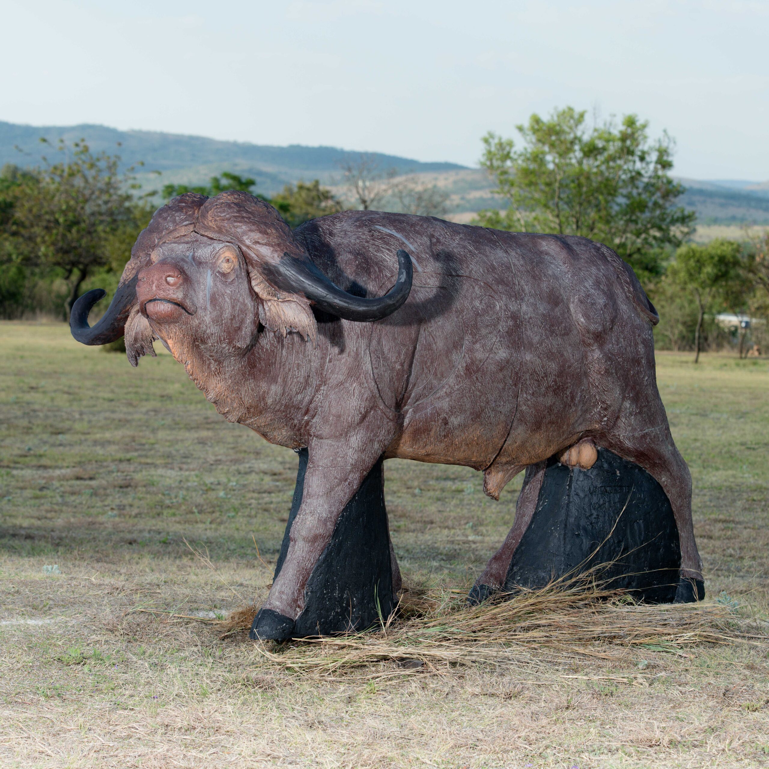Wildcrete Kaffernbüffel 3D Target für Bogenschießen