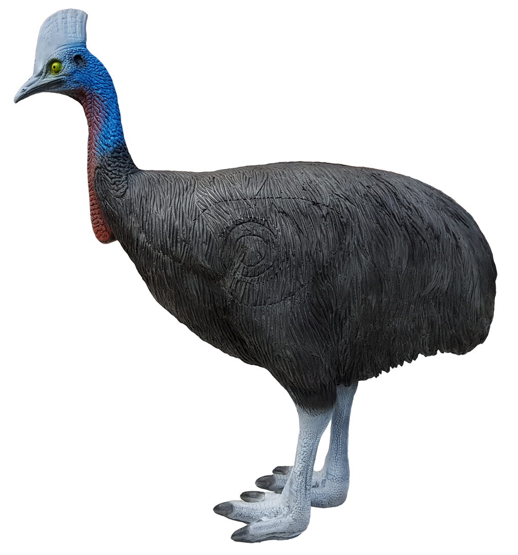 ELEVEN Kasuare / Vogel 3D Target für Bogenschießen