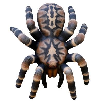LEITOLD Vogelspinne 3D Target für Bogenschießen