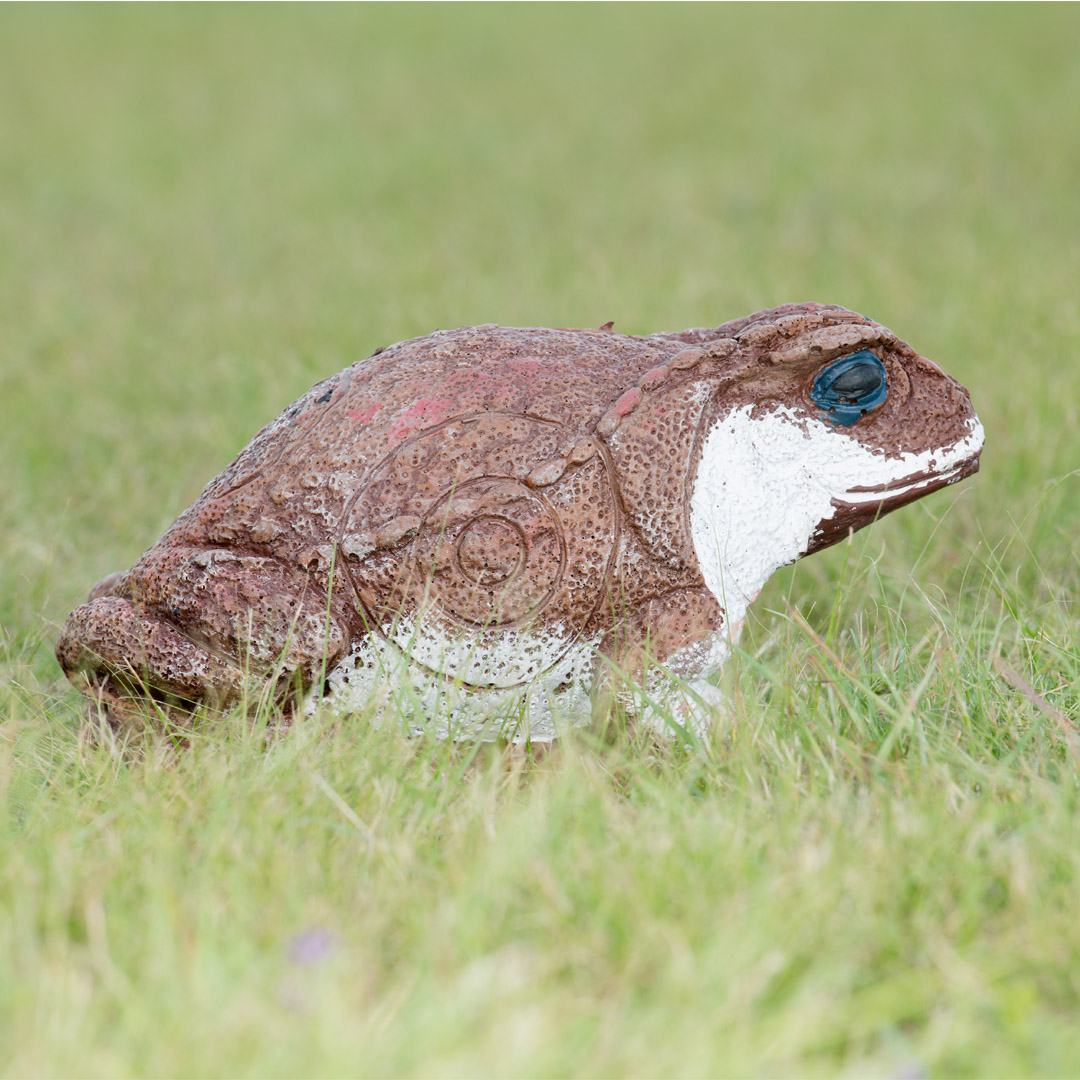 Wildcrete Aga - Kröte 3D Target für Bogenschießen