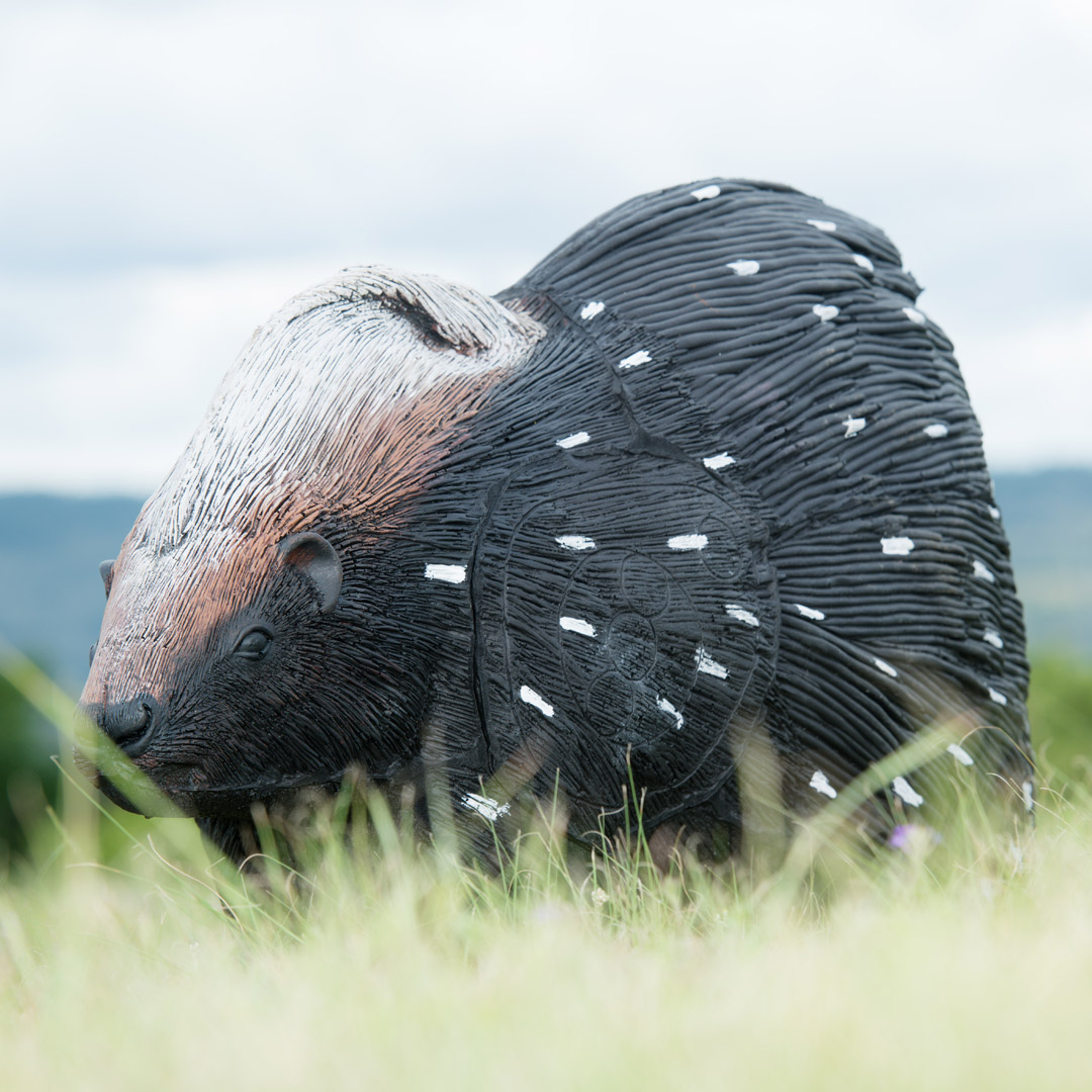 Wildcrete Stachelschwein 3D Target für Bogenschießen