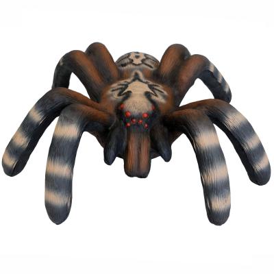 LEITOLD Vogelspinne 3D Target für Bogenschießen
