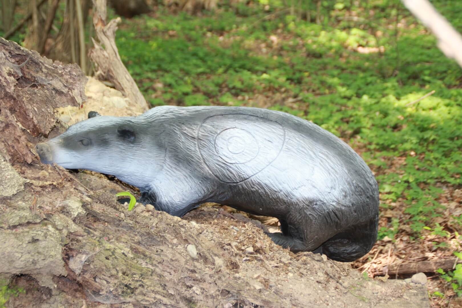 ITALESPANSO Dachs 3D Target für Bogenschießen