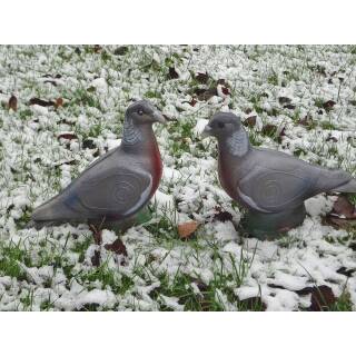 NATURFOAM Taube / Vogel 3D Target für Bogenschießen
