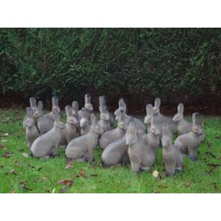NATURFOAM Hase 3D Target für Bogenschießen