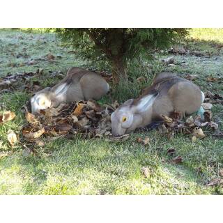 NATURFOAM Hase 3D Target für Bogenschießen