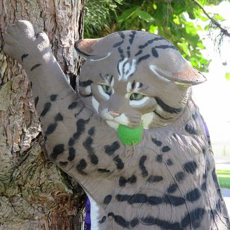 NATURFOAM Wildkatze 3D Target für Bogenschießen