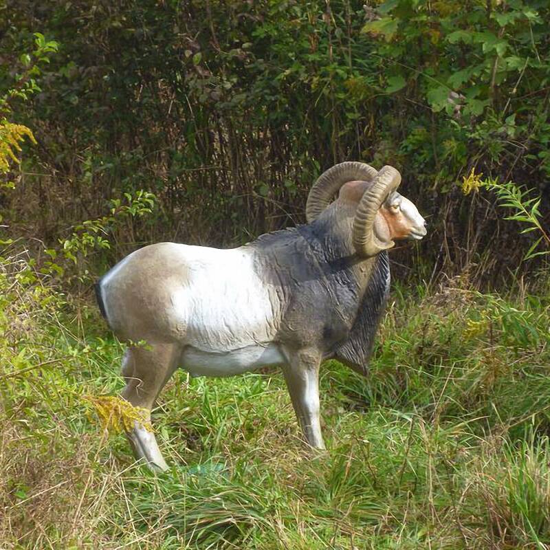 NATURFOAM Dickhornschaf 3D Target für Bogenschießen