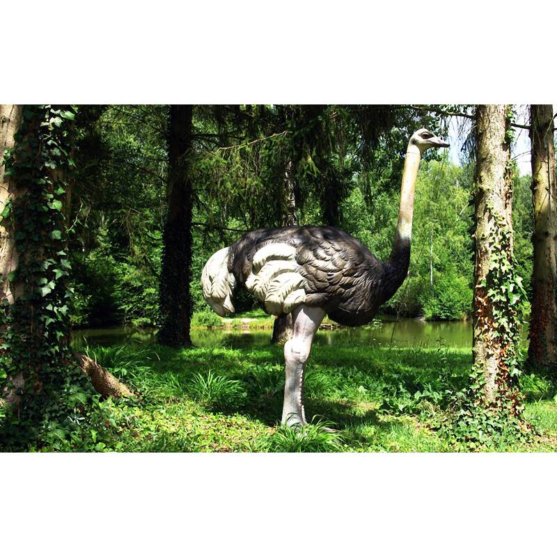 NATURFOAM Strauß / Vogel 3D Target für Bogenschießen