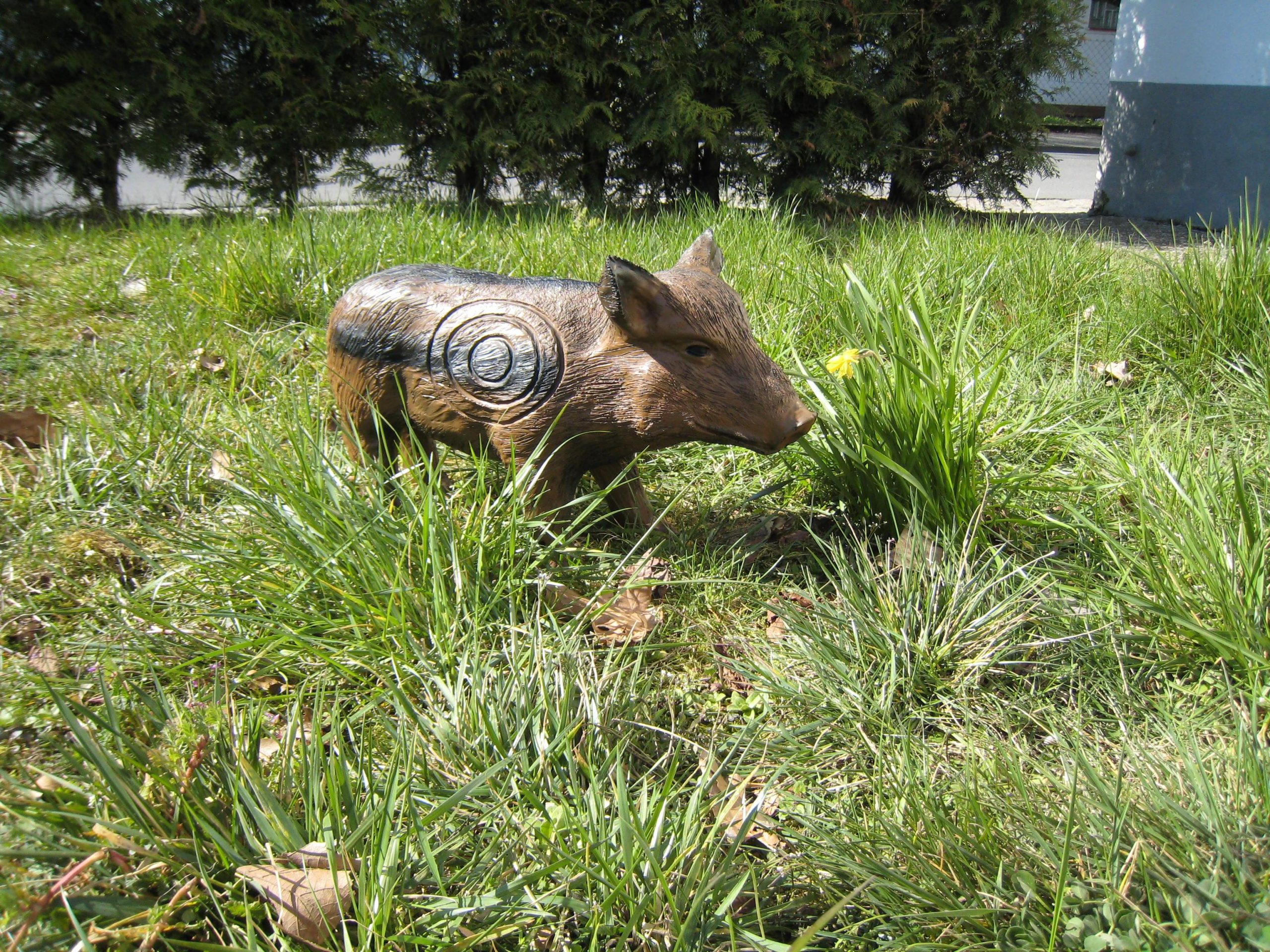 CSS GmbH Frischling / Wildschwein 3D Target für Bogenschießen