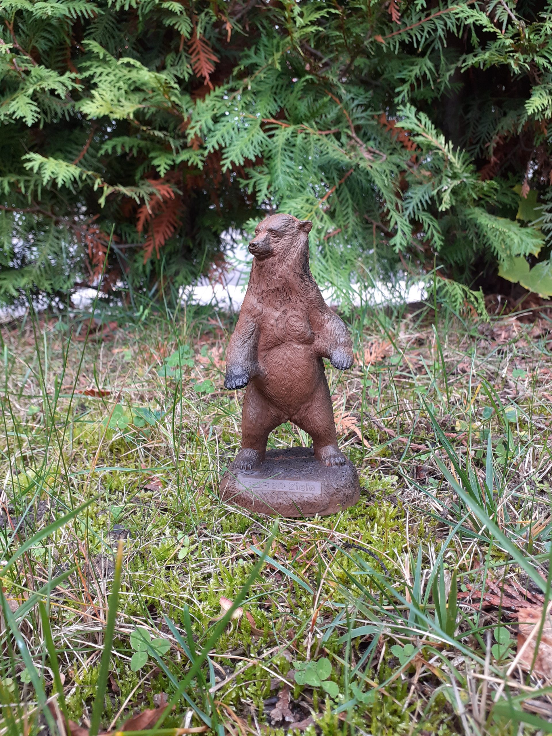CSS GmbH Bär / Grizzly 3D Target für Bogenschießen