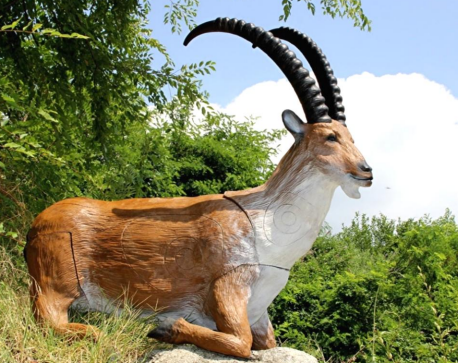 ITALESPANSO Steinbock 3D Target für Bogenschießen