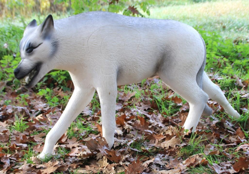 ITALESPANSO Wolf 3D Target für Bogenschießen