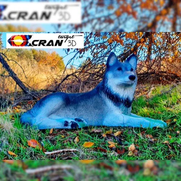 CRAN TARGET 3D Wolf Pandora 3D Target für Bogenschießen