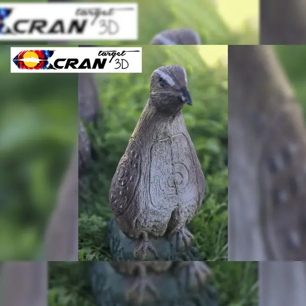 CRAN TARGET 3D Wachtel 3D Target für Bogenschießen