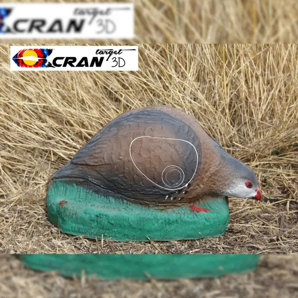 CRAN TARGET 3D Rebhuhn 3D Target für Bogenschießen