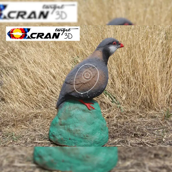 CRAN TARGET 3D Rebhuhn 3D Target für Bogenschießen